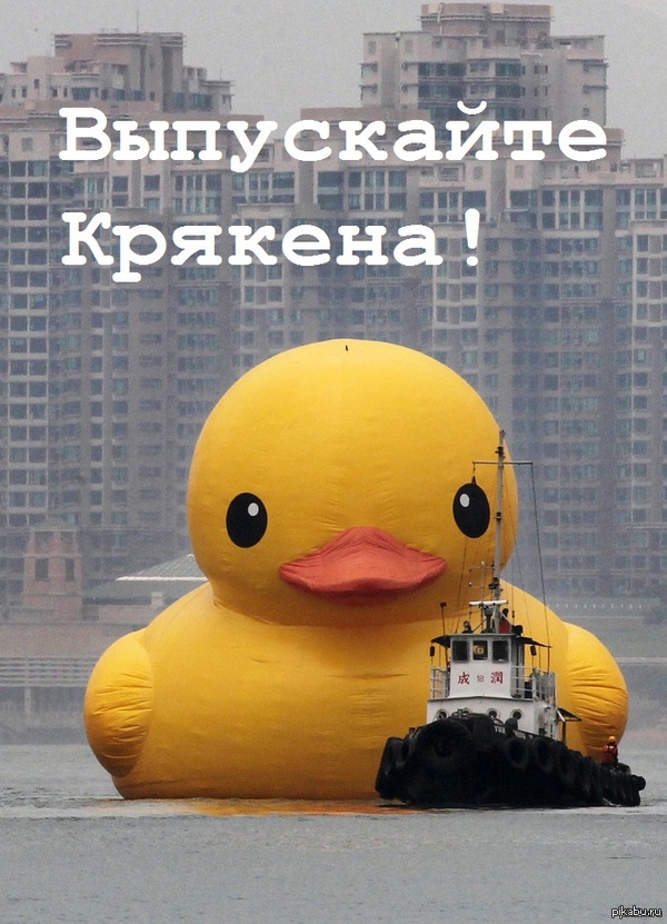 1431117543_451945094.jpg.jpeg