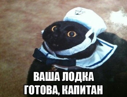 1441607491169296525.jpg.jpeg
