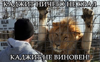 1445360620110245328.jpg.jpeg