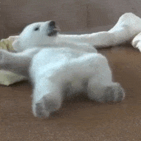 1467111765184440679.gif