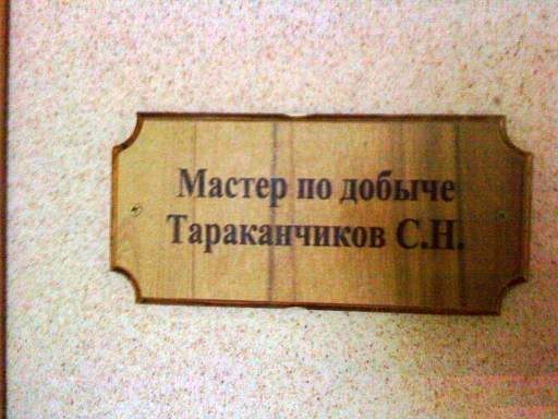1481623992141350682.jpg.jpeg