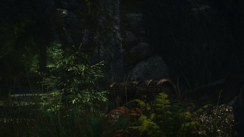 15318712479_ce9270b2a2.jpg.jpeg