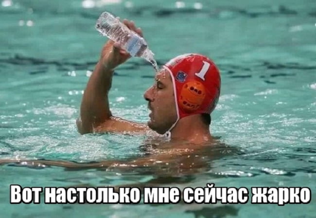 1551857813_1.jpg.jpeg