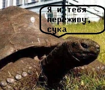 1569861446140456262.jpg.jpeg