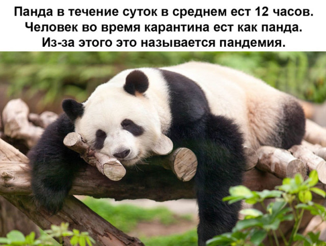 1587409210_kartinki-2.jpg.jpeg