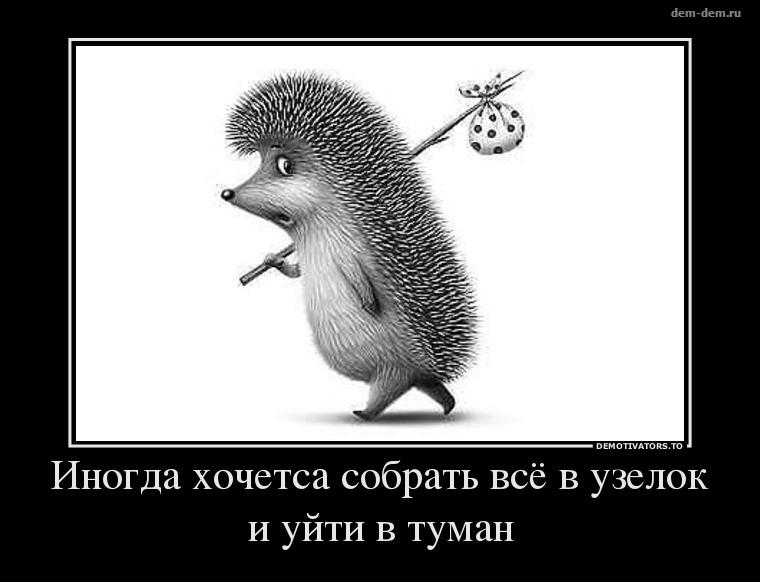 179646396_2c7e878a7d6ed9e434fec263d914bb1e_800.jpg.jpeg
