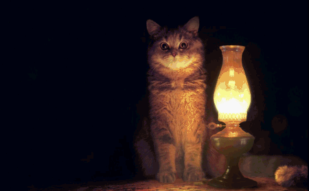 18e8578b4b04.gif