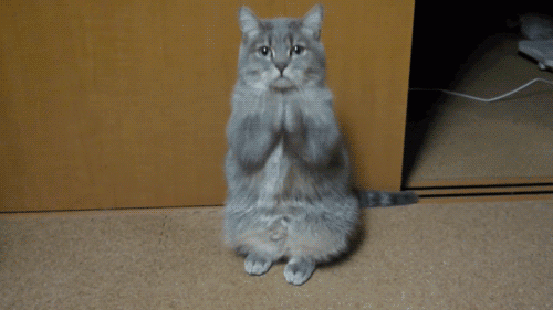 201307270018-nu-pozyazya-kashamalasha-com.gif