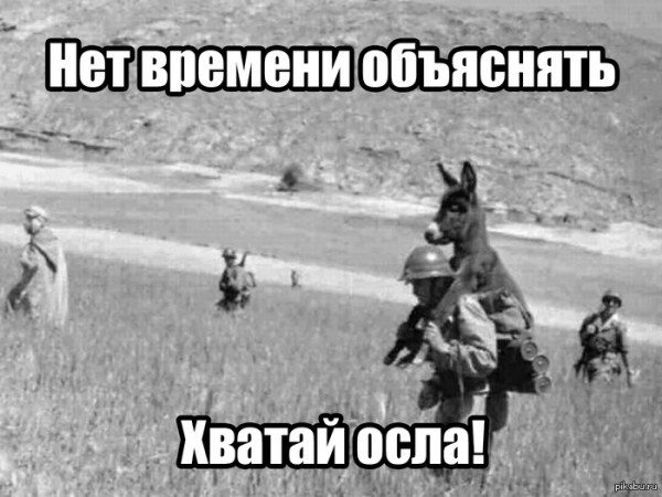 227185_600.jpg.jpeg