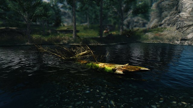 25118537700_4978a5e2f5_z.jpg.jpeg