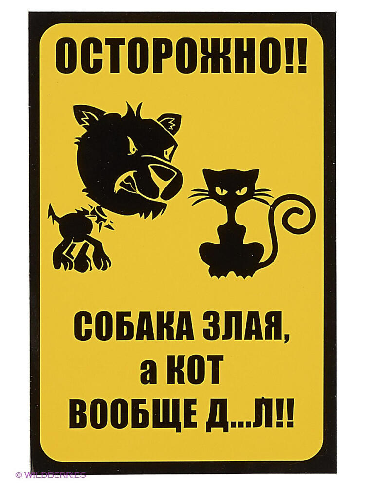 2907216-1.jpg.jpeg