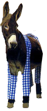 2a44083a9e50a7180b9e298c9c1770c3.png.webp.png