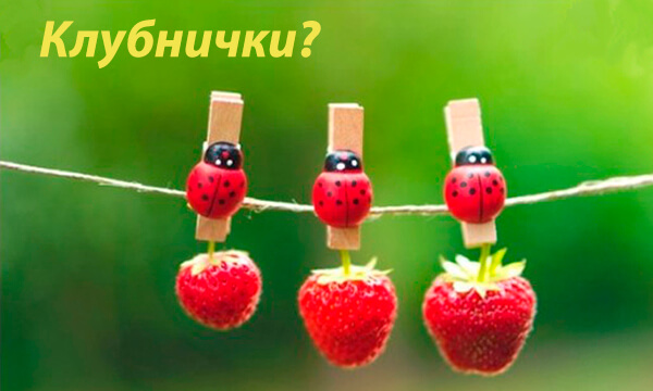 3. Клубнички.jpg