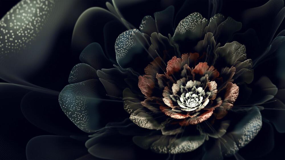 3D-graphics_Abstract_black_digital_flower_097231_.jpg.jpeg