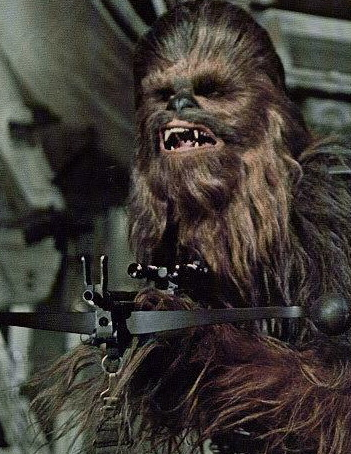 4. Chewbacca.png.png