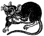 401e55260a8ad77099324fc2058a4e7d.png.png