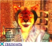 4351edf2725at.jpg.jpeg