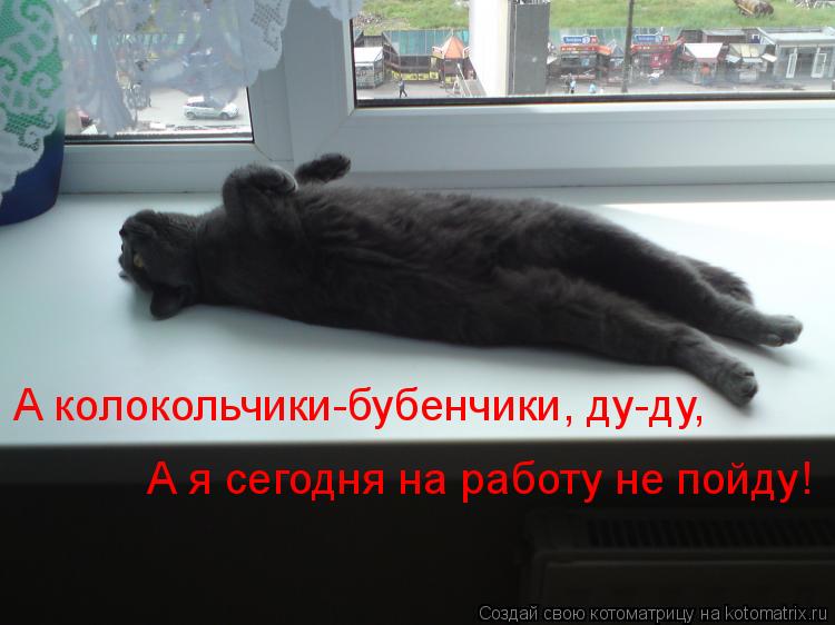 490369.jpg.jpeg