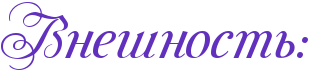 4njpbxqoszeatwf74n9pdyqtomeaaqo.png.png
