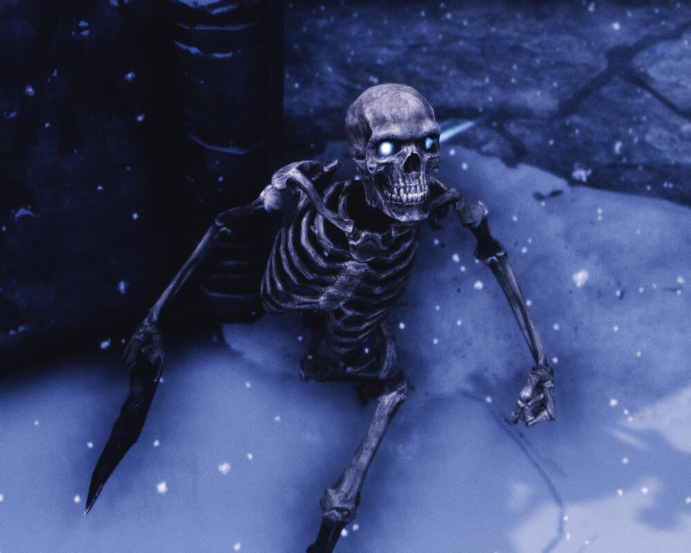 51903bb0bd01.jpg.jpeg
