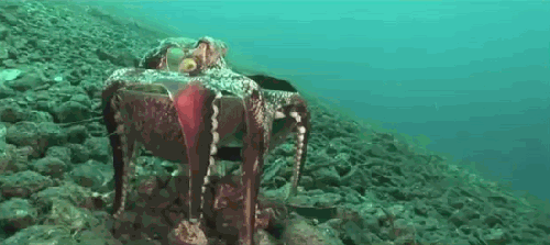 5671a7d0434a2.gif