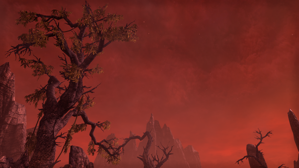 5d5577a06b14.png.webp.png
