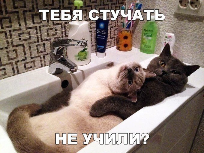713e16fd60bda4f8077d0f716e9d7338.jpg.jpeg