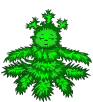 74d39bfe84a3317424250a6a02da4520.gif