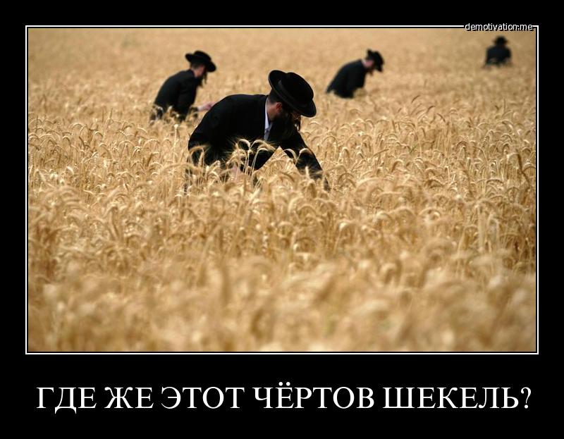 8a358e9e26feabe120ca1139adbe7597.jpg.jpeg