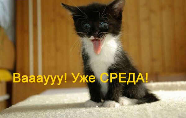 92794489_SREDA_UZHE_1.jpg.jpeg