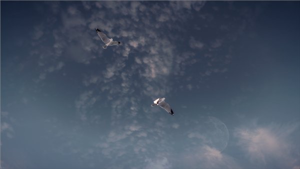 93053ea187bat.jpg.jpeg