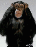972126226.gif