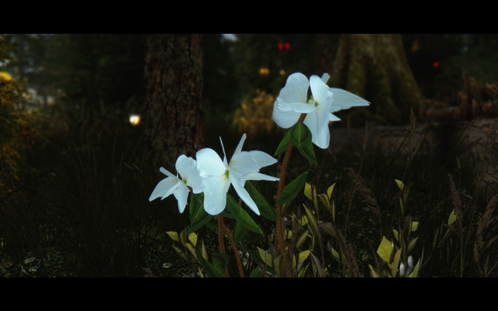 a4f8e680168f.png.webp.png