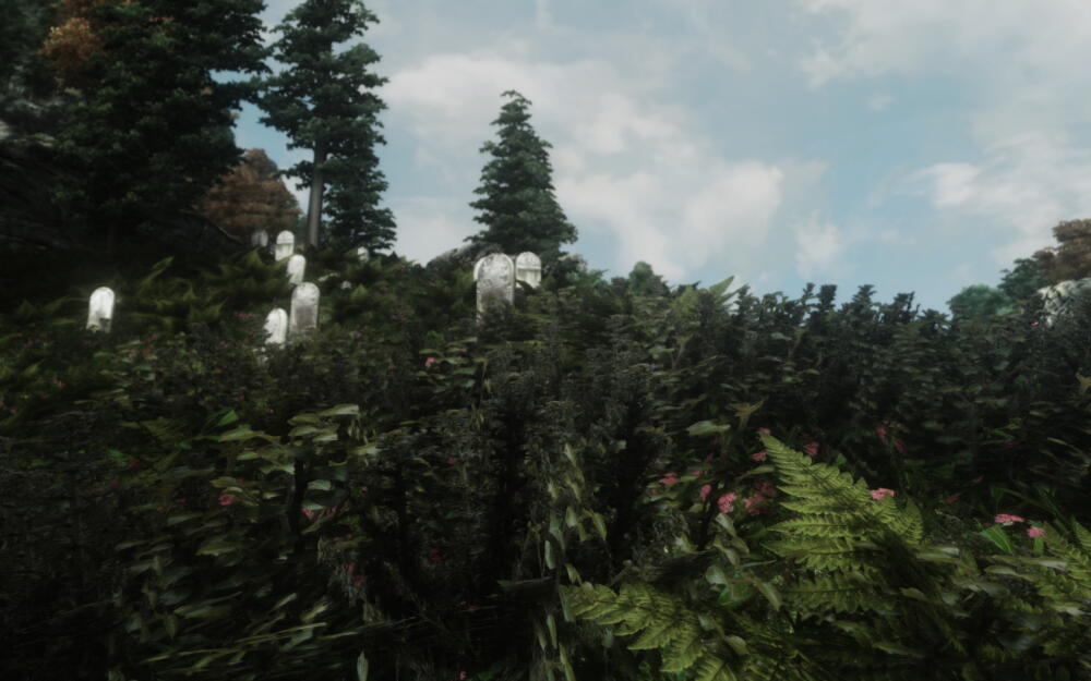 aa209e56bf1257096932b0ce84946fd5.jpg.jpeg