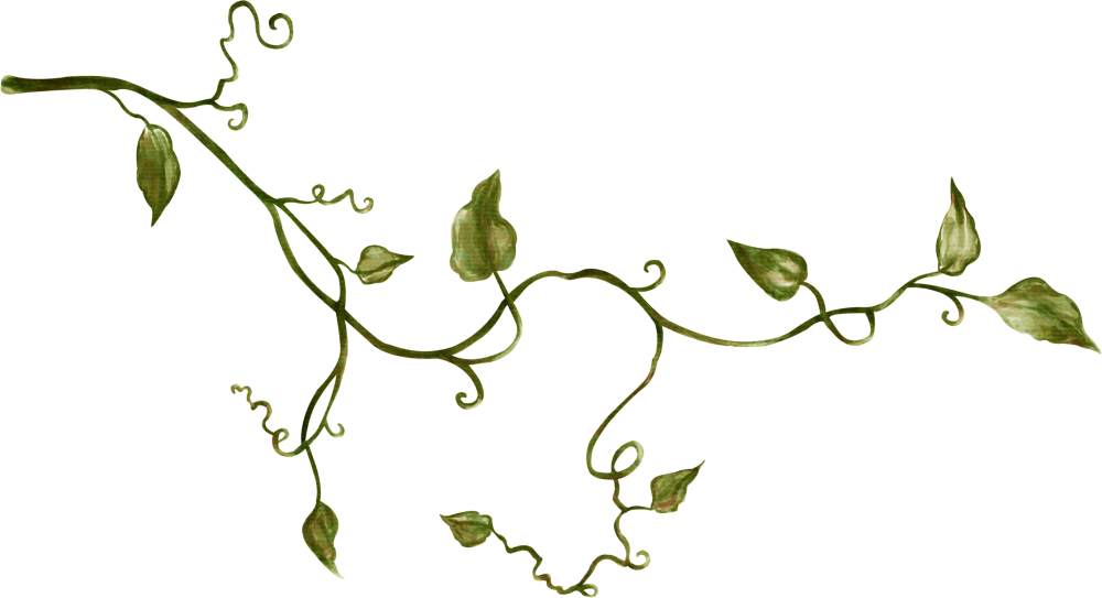 ada44250d19ea6b8a32410fecbf55a87.png.png