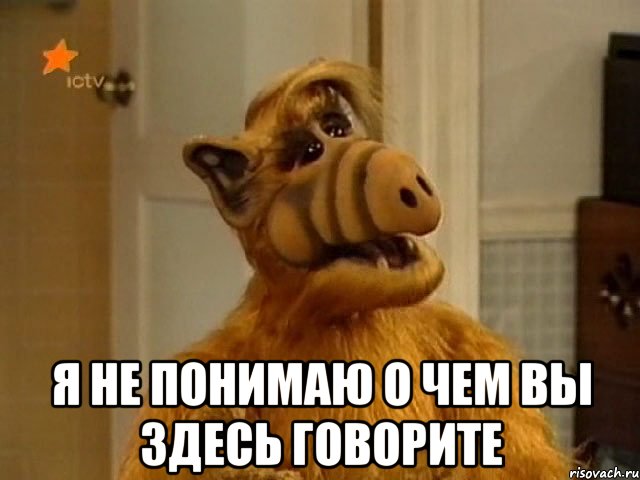 alf_24651133_orig_.jpeg