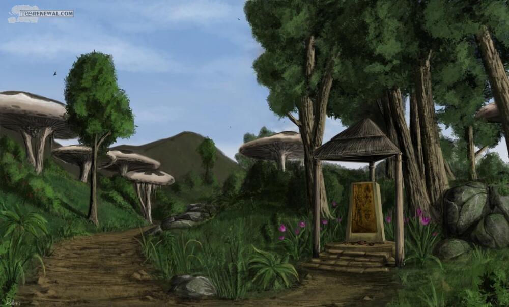 ascadian_isles__fields_of_kummu__by_romandubina-d8eadgc.jpg.jpeg