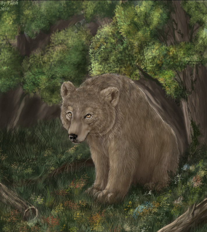 bear_by_flashlioness-d2ydf3x.png.webp.png