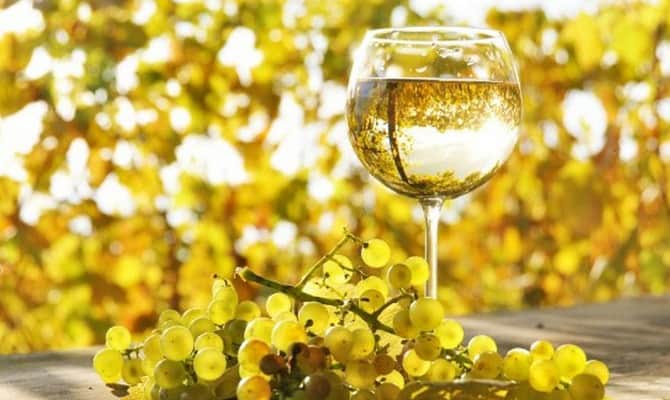 beloe-suhoe-vino-polza-vred-zdorove-1.jpg.jpeg