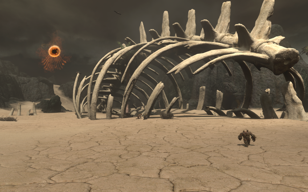 bodua_picture013.png.webp.png
