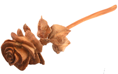 c29d560ae87a.png.webp.png