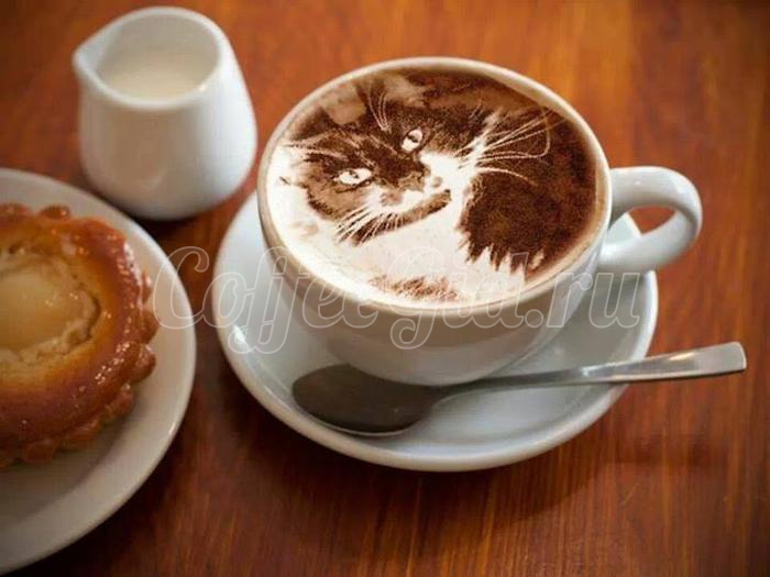 cat-coffee-art.jpg.jpeg