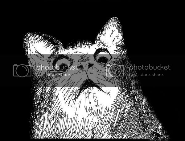 Catsfacewhen_f10bfbb711877659408f517c19fccd6b.jpg.jpeg