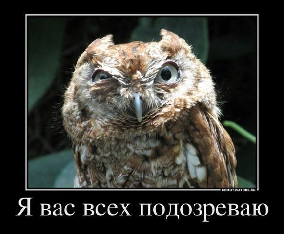 cf7261729e980f590a1d7d8f6fc6dc30-ya_vas_vseh_podozrevayu.jpeg
