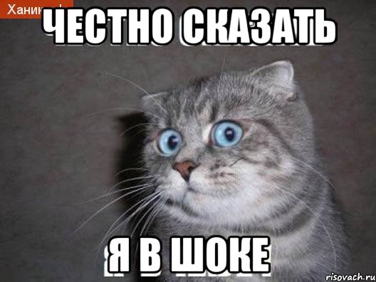 chestno-skazat-ya-v-ahue_13946128_orig_.jpg.jpeg