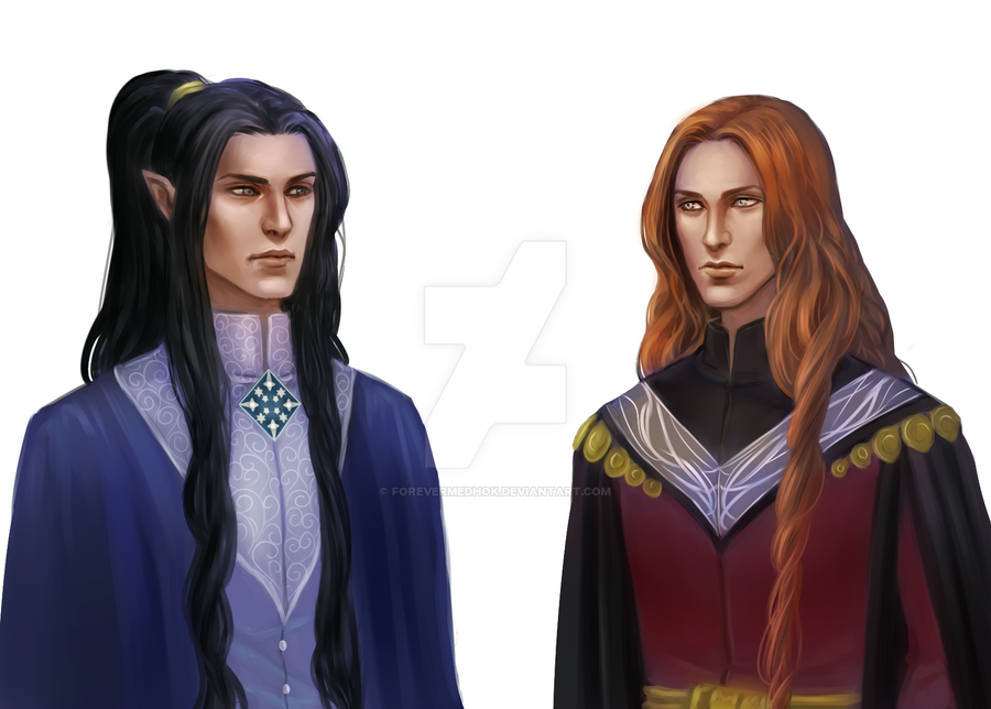commission___gilgalad_and_tindomion_by_forevermedhok-darrllw.png.webp.png