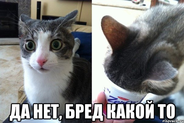da-ne-bred-kakoy-to_50380430_orig_.jpg.jpeg