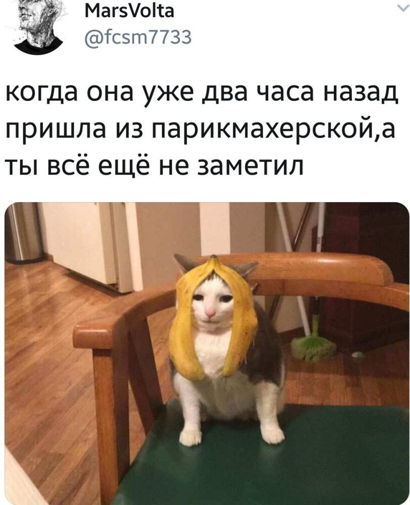 DcyIBi8X0AE_lBo.jpg.jpeg