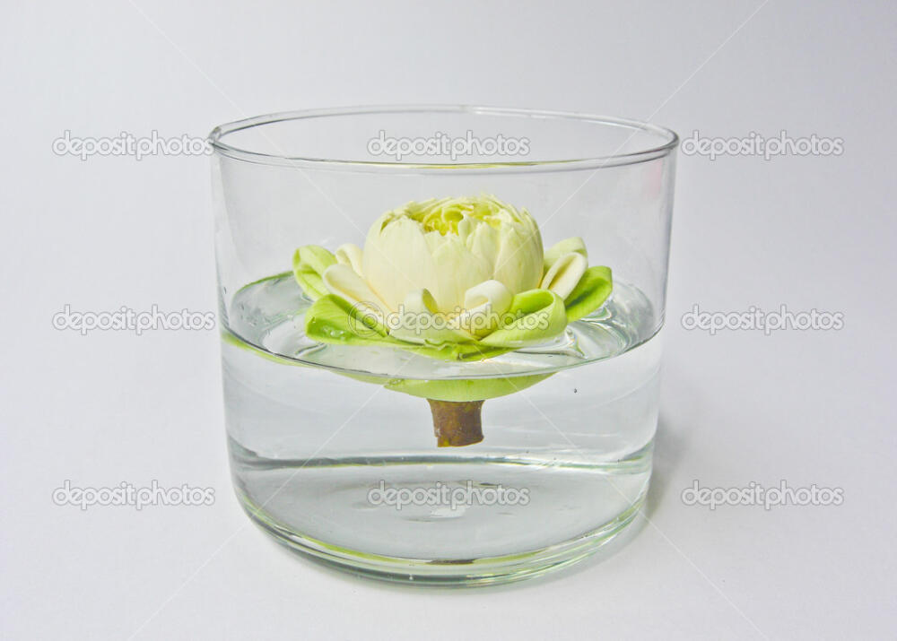 depositphotos_40465285-stock-photo-water-lily-in-vase.jpg.jpeg