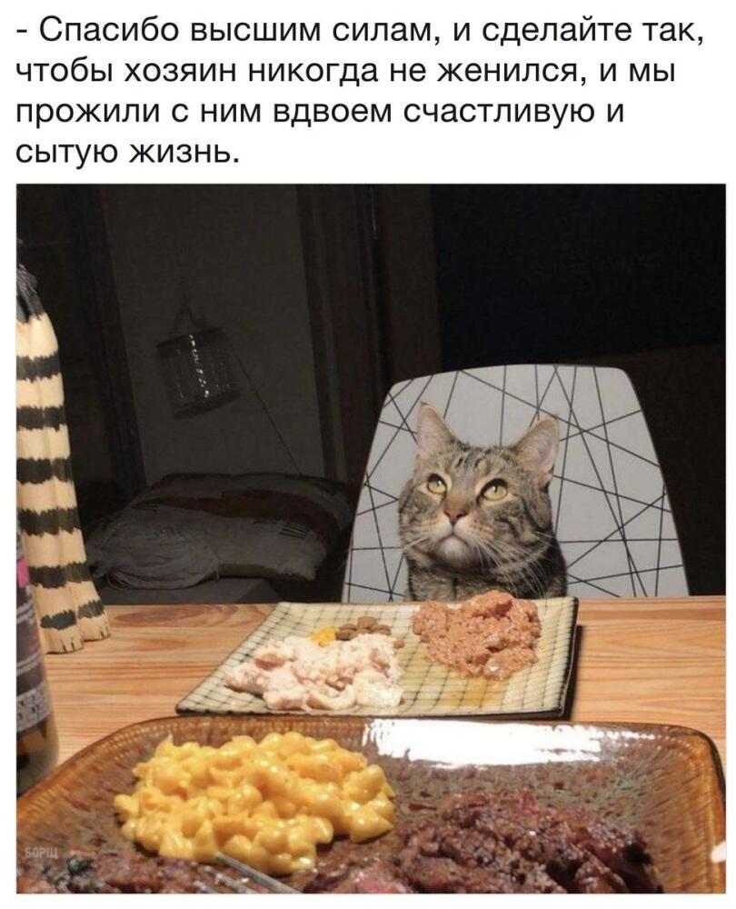 DWtu7iqXkAAfKac.jpg.jpeg